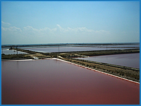 Saline di Margherita di Savoia